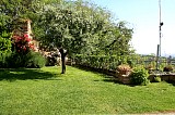 pic09.jpg